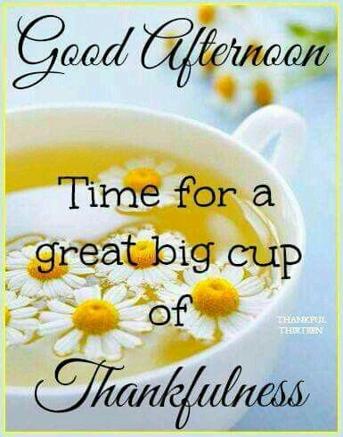 faysalyouness's tweet photo. @ss_gladys @shulybella @LMHH @rociolupe1 @mario7275 @ADDYPECESITA
G. #fridayfun
#FebruaryWithBlessings https://t.co/lORMbPzWYj