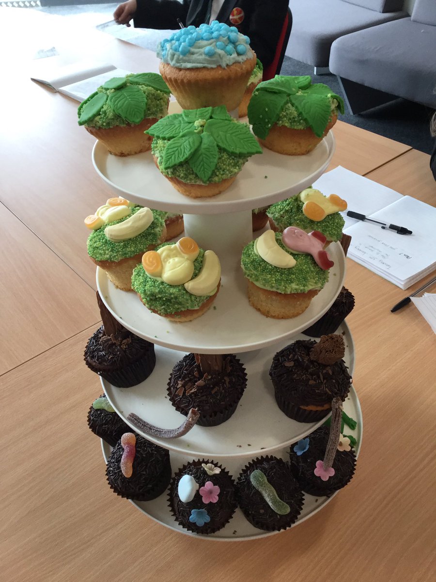 DartonGeog's tweet photo. Cupcakes representing the layers of the rainforest! Brilliant work, they look delicious! #LoveLearningDC #rainforest @DartonCollege https://t.co/4nepSH4xH1