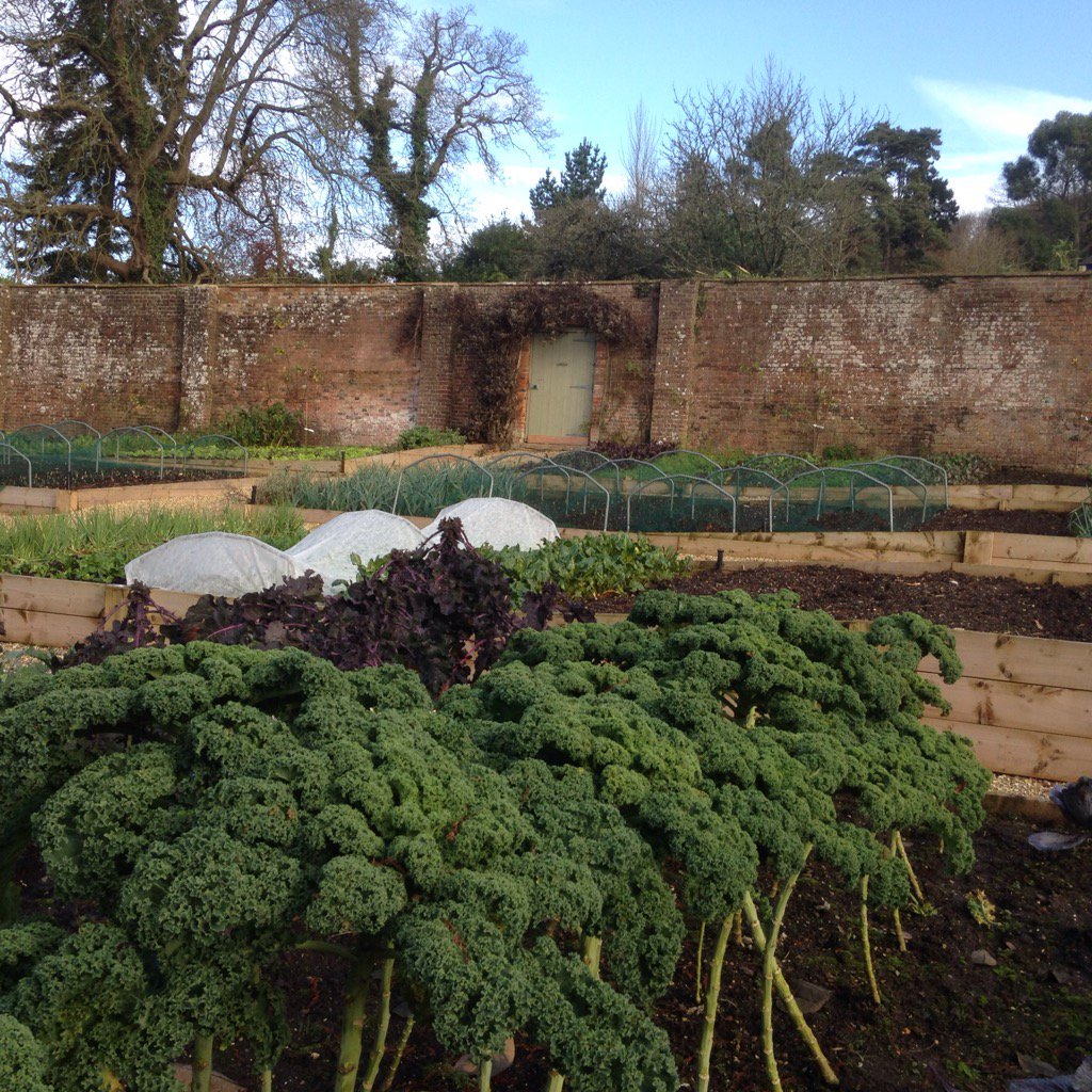 @Alscoutts @The_Pig_Hotel Combe looking forward to seeing your #Kitchengarden next week!🥕