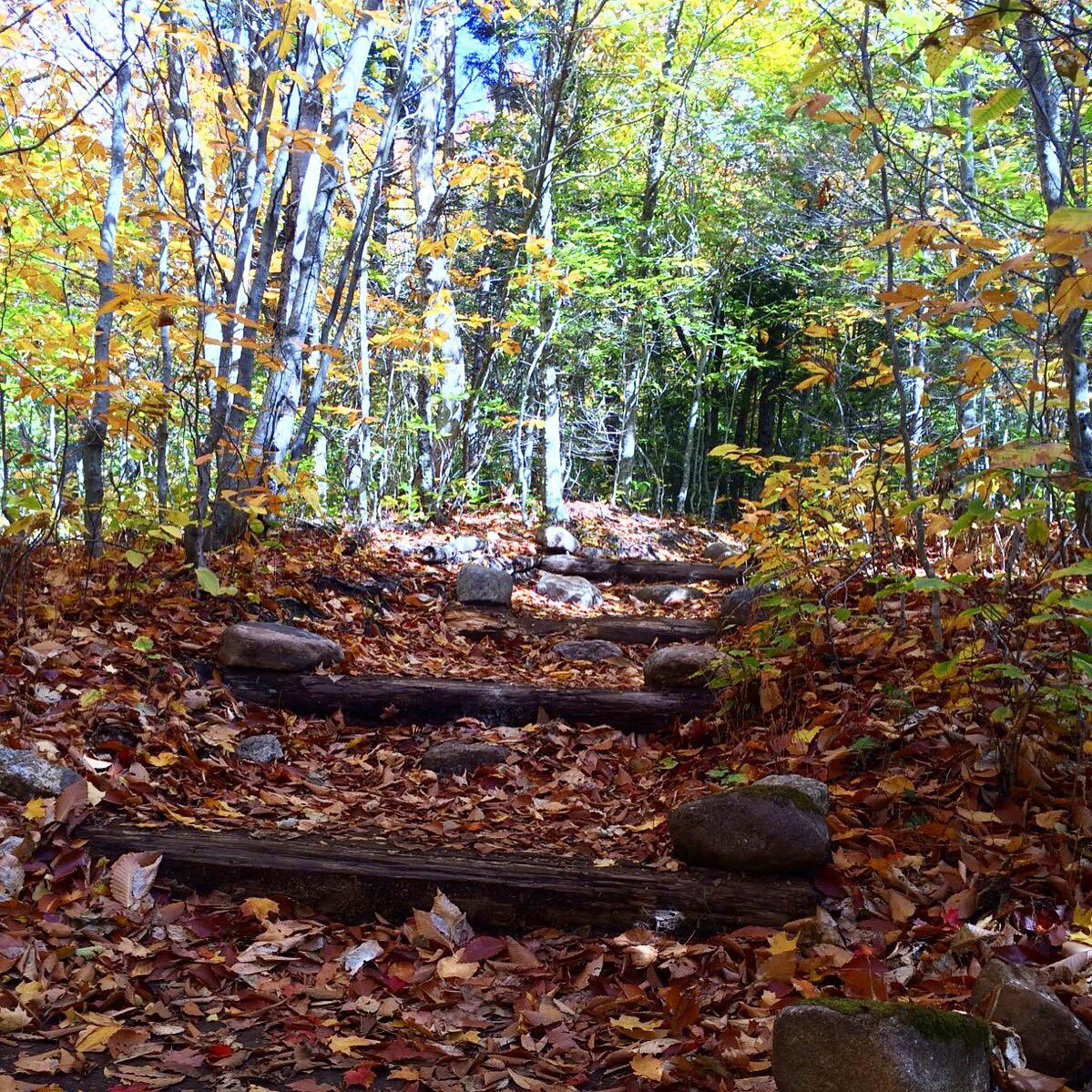 CarameloJP's tweet photo. Remembering when the days were warm! Going up #mountcardigan https://t.co/RFib8DGiyG