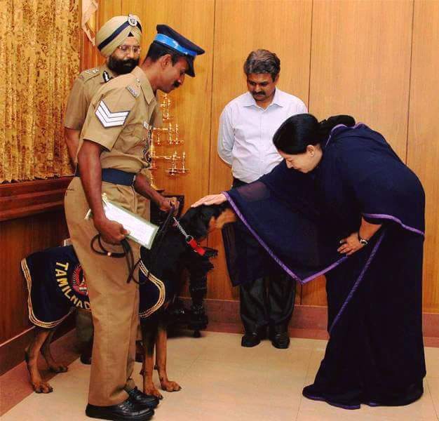 mohanraj_1212's tweet photo. வாயில்லா ஜீவனூம் வாழ்த்துகின்ற கருனையே...!!!

#Amma #MissYou 😢 https://t.co/fbl5Z3AqP7
