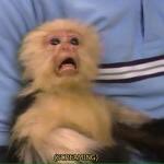 hueyjujubee3's tweet image. When you find an old boyfriend is on twitter!!... and it confirms he's a pervert... #bleck 🤢🤢