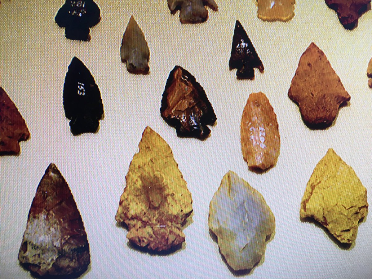 Sarah McLeod tweet media