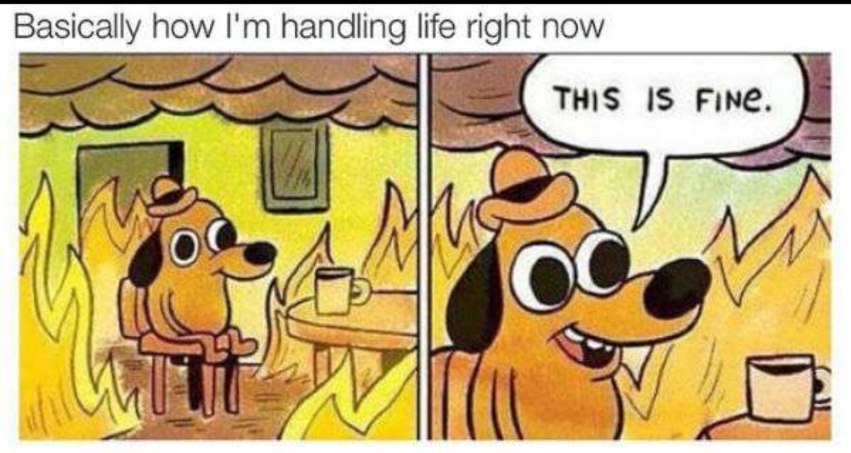 itsamandabucci's tweet photo. How my morning has been https://t.co/adC9mgdQJ1
