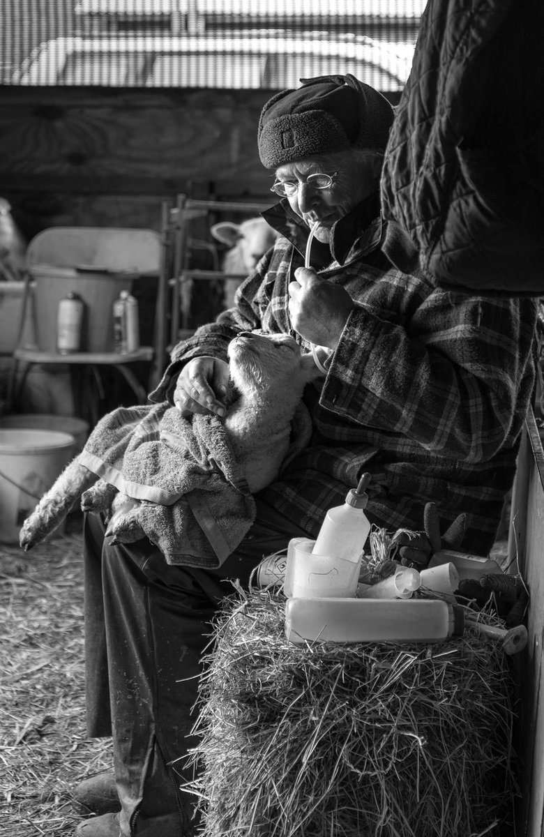 "You have to be both vet and shepherd when you own a farm" find out more about <a href="/Lucy_Gold/">Lucy Gold</a> photos .buff.ly/2kHMlAD