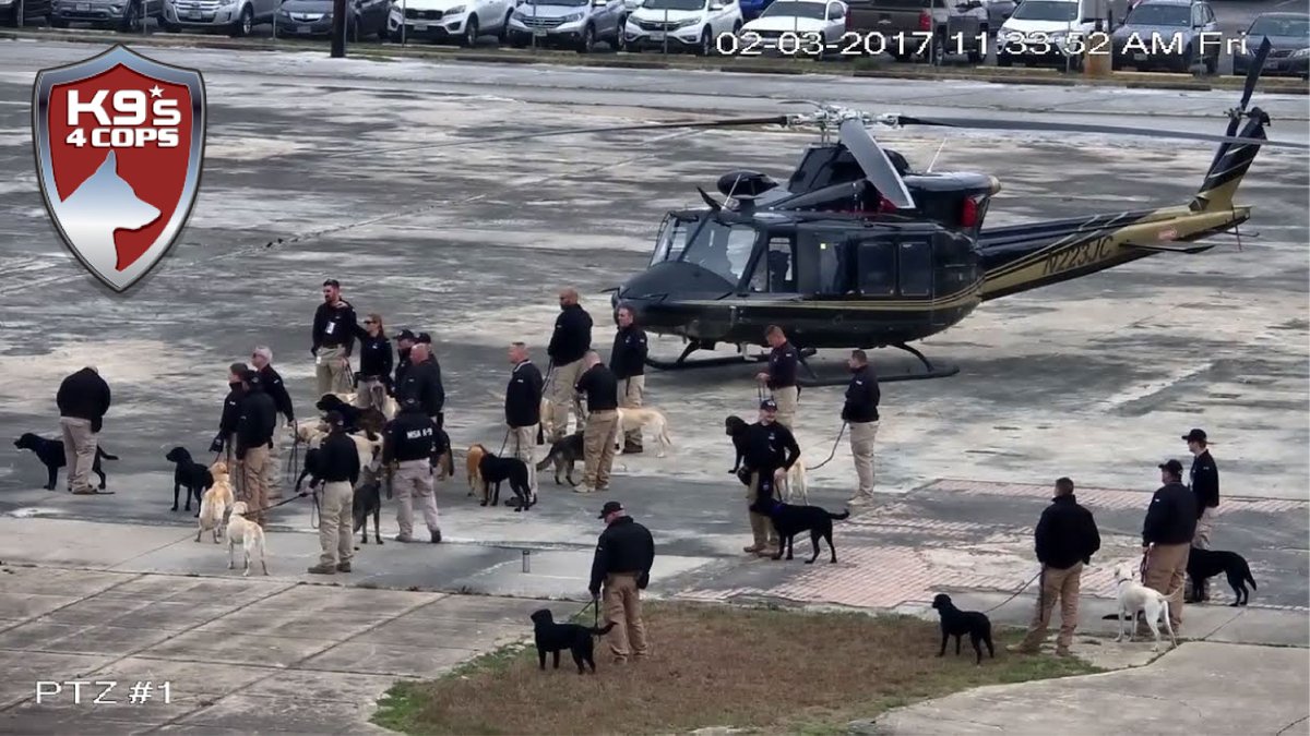 K9sOfficial's tweet photo. The real Superbowl Special Teams have arrived! #SuperBowl https://t.co/INwyAqRPi8