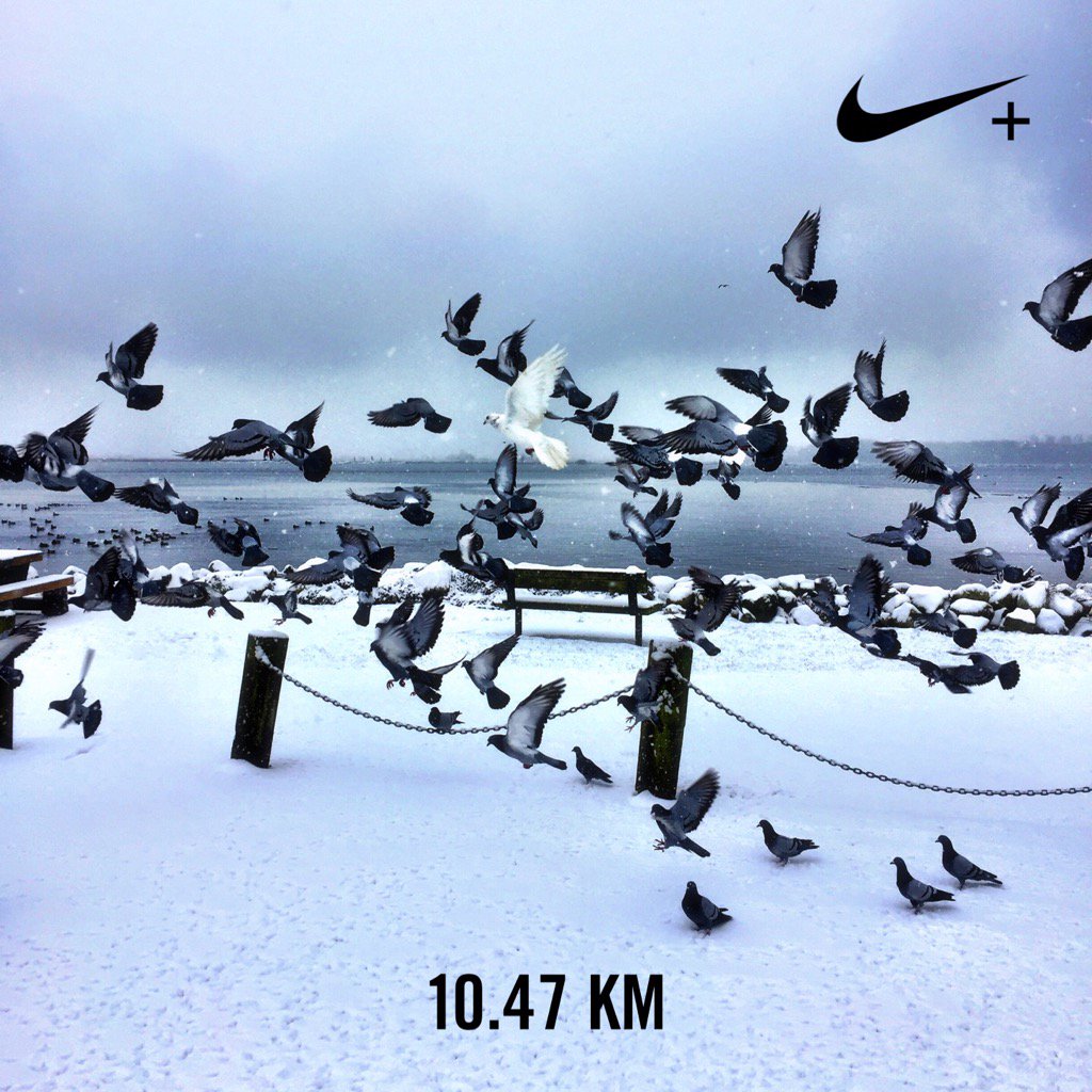 MisoSmart's tweet photo. Why fit in when you were born to stand out ~Dr.Seuss #buscome #RWRunStreak #nrc #nikeplus Day71 https://t.co/xoJpzdBeFl