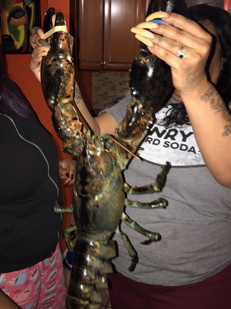 AngelsWizdom's tweet image. #HalfTimeHero Lobster for the big game 😋🦂