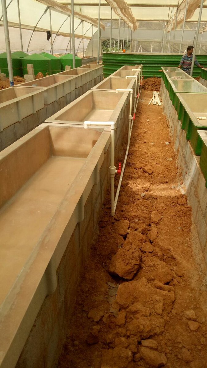Waterfarmers Aquaponics On Twitter Waterfarmers Building The