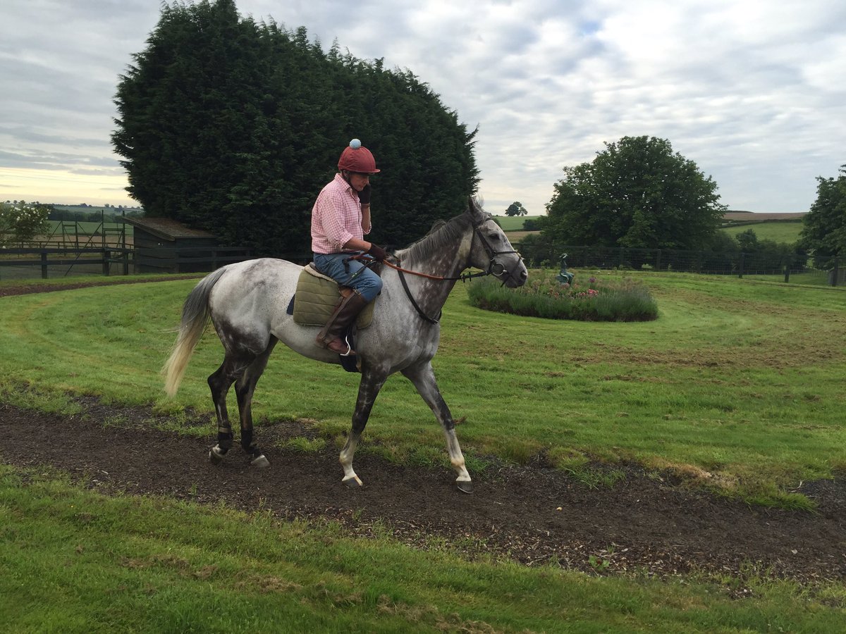 San Sebastian Racing tweet media