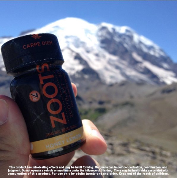 Check out Zoot Energy Blasts from Zootology  10% off All Zoots products today💥  Look out for free uninfused samples too 😋
#Zoots