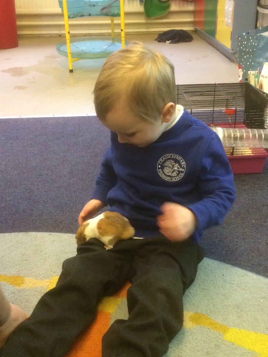 CCPPSchool's tweet photo. Looking after Nibbles and having a nice cwtch #ccpFP #ccpK&U #ccpPSD https://t.co/klzhvD8uHu