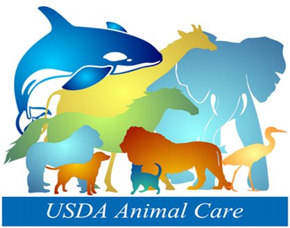 OrcaSOS's tweet image. BREAKING: U.S. Government Removes All #AnimalWelfare Info From Its Site
@sarahvschweig @dodo thedodo.com/usda-animal-we…
#SeaWorld #Blackfish