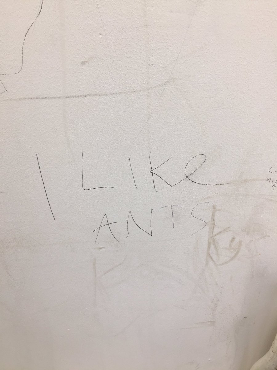 Craig Jude tweet media