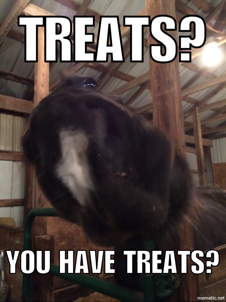 TraceySeyffert's tweet photo. #treats #whatsinyourpocket #NatGeoWild https://t.co/yZ9UA5Wg6u