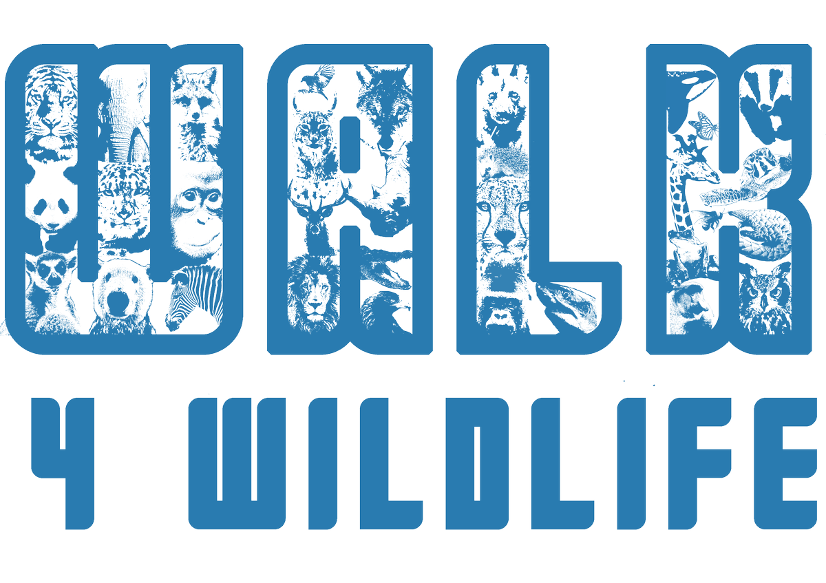 mikematthewsart's tweet photo. new @Walk4Wildlife merchandise coming soon https://t.co/iBlgEEvK1X