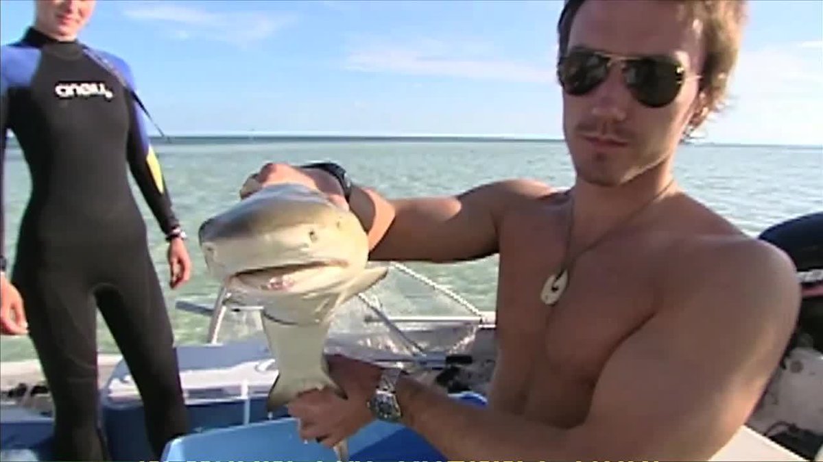 WATCH LIVE Coast Guard gives update on search for missing director bit.ly/2kaYsoj https://t.co/ChTLN11IFC