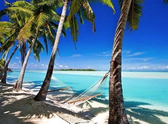 islandersmag's tweet photo. Lay down, relax and enjoy the view... 📍 Cook Islands, South Pacific.
📸 @cookislands 
#para… https://t.co/HcHav3XaNR https://t.co/wWji0sT9WB