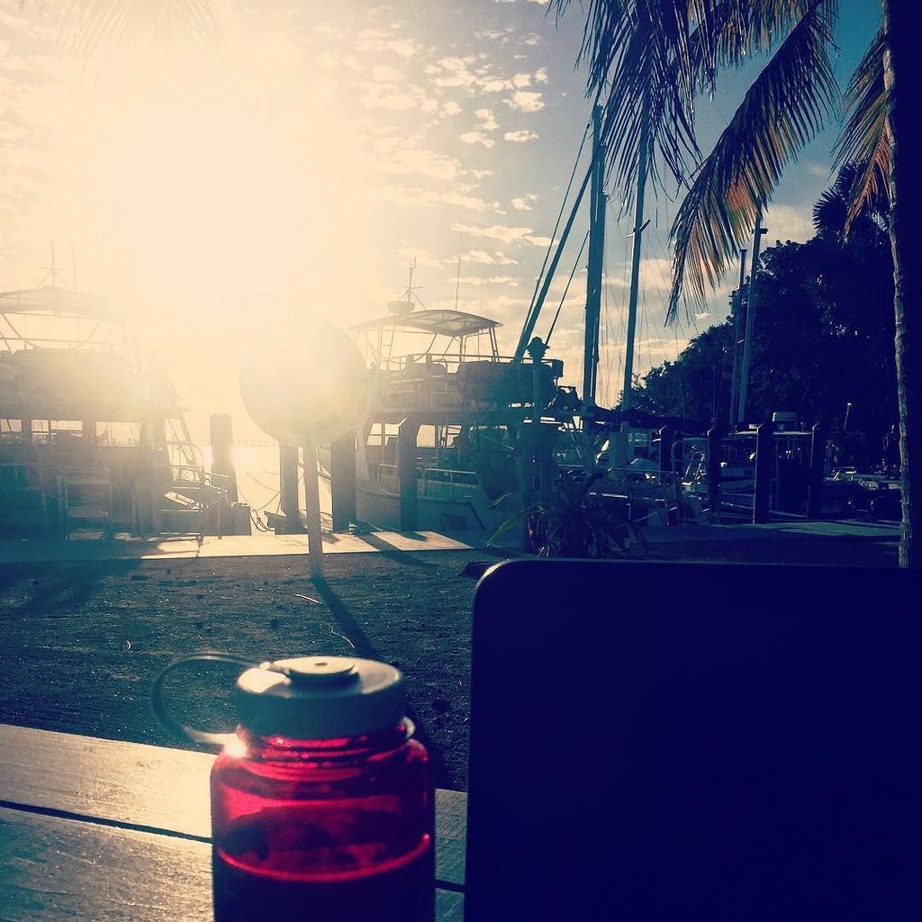 Tarantino4me's tweet image. I guess this isn't a bad place to work either... #SeaBase ift.tt/2k4VLlO