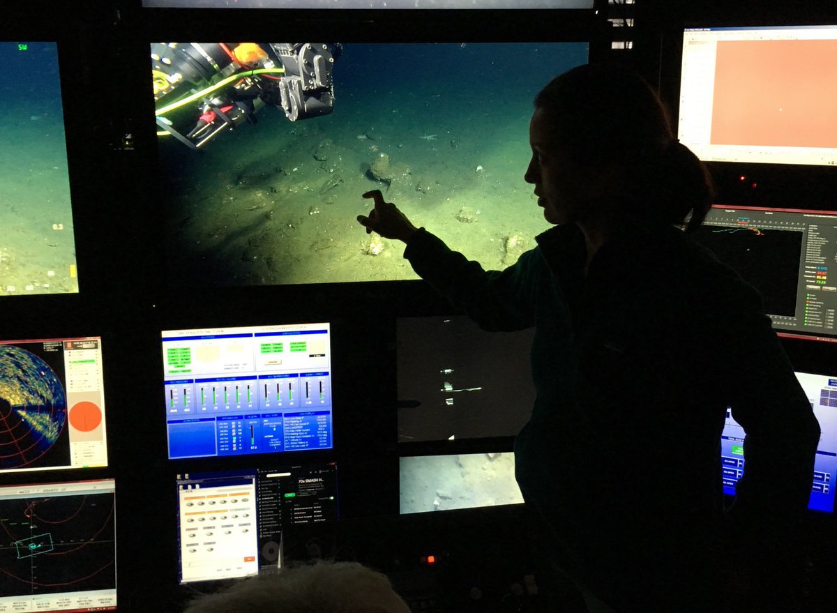 KakaniKatija's tweet photo. I'm a bioengineer and #actuallivingscientist and this is how I #DressLikeAWoman to study #FluidInspiration #Bioinspiration in the deep sea. https://t.co/F0a1Zm0kFM