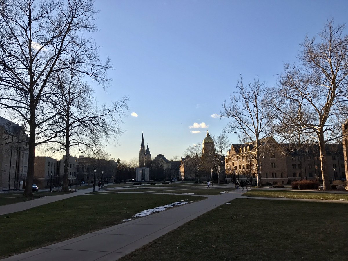 It's Friday and Sunny. What more could we ask for ? 🎉