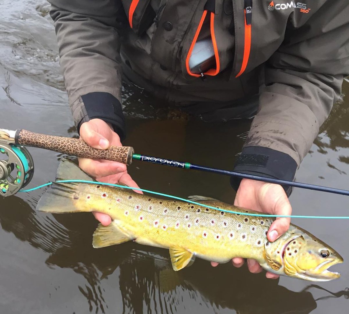 Compass360gear's tweet photo. Looking for Silver... Ended up with butter. Great catch by brand ambassador Daniel Muiser. #Compass360gear https://t.co/OYAatDAUY8
