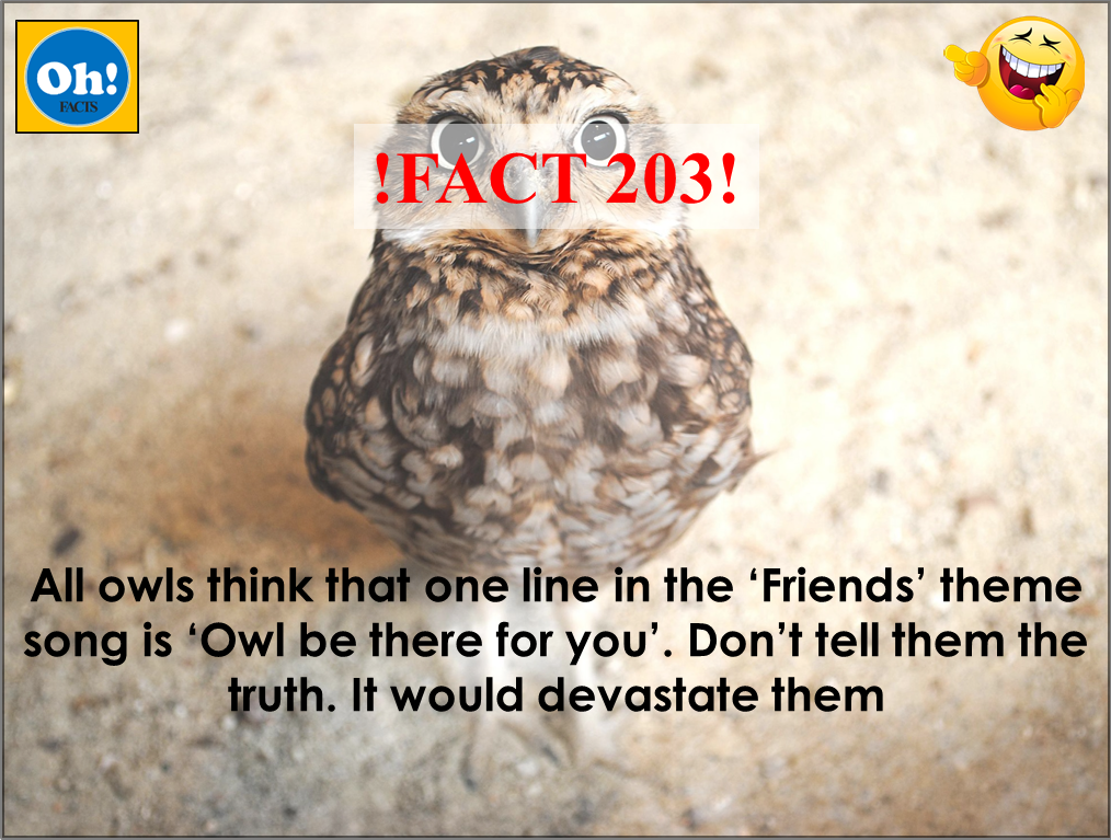 Oh_factz's tweet photo. !FACT  203! #owls #friends #truth #factsmatter #jokes #hilarious #people #choices #TVseries #funny #sarcasm #AnimalWelfare #animals #facts https://t.co/fY9WbPZLGn