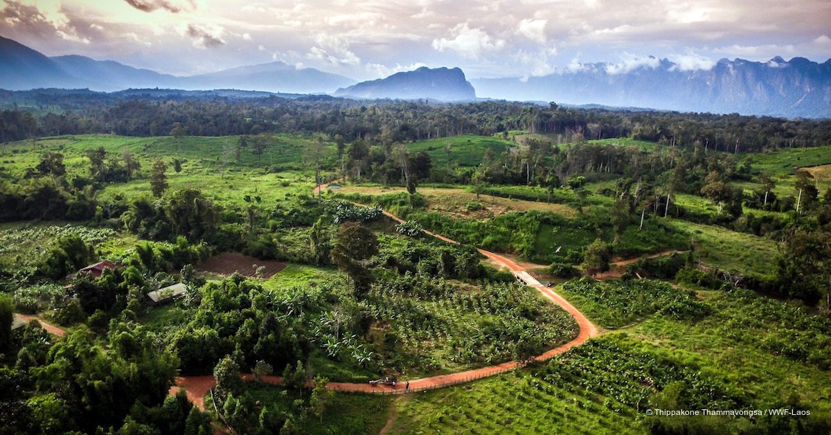 WWF's tweet photo. Discover how #sustainable production planted the seeds of positive change for local communities in Laos https://t.co/Ovi0a23KBS https://t.co/4G9EIfUBam