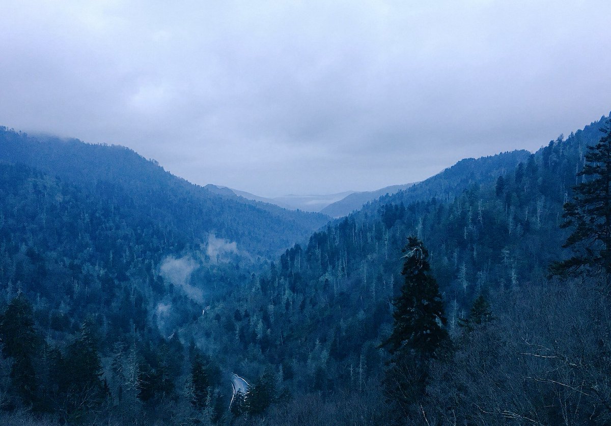 Catherine Steward (@catherinel_s) on Twitter photo Love the dawn in the Smokies. So much beauty is still here. #mountaintough <a href="/GatlinburgTN/">Gatlinburg Tennessee</a> <a href="/TravelGburg/">Visit Gatlinburg</a> Love the dawn in the Smokies. So much beauty is still here. #mountaintough <a href="/GatlinburgTN/">Gatlinburg Tennessee</a> <a href="/TravelGburg/">Visit Gatlinburg</a>
