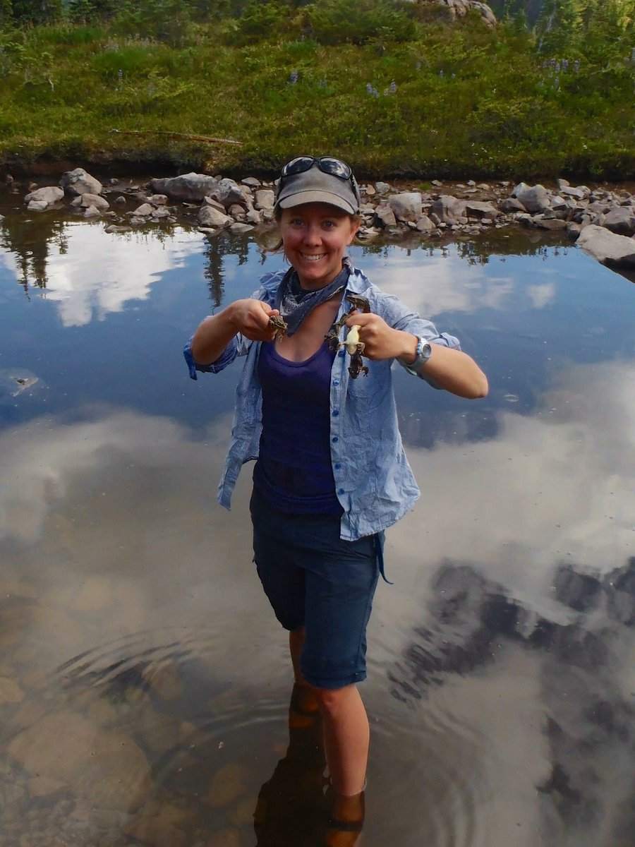 AKissecol's tweet photo. Hi, I'm Amanda and I'm an #actuallivingscientist. I study how #climatechange will affect frogs. #DressLikeAWoman https://t.co/4WiGoEUUEB