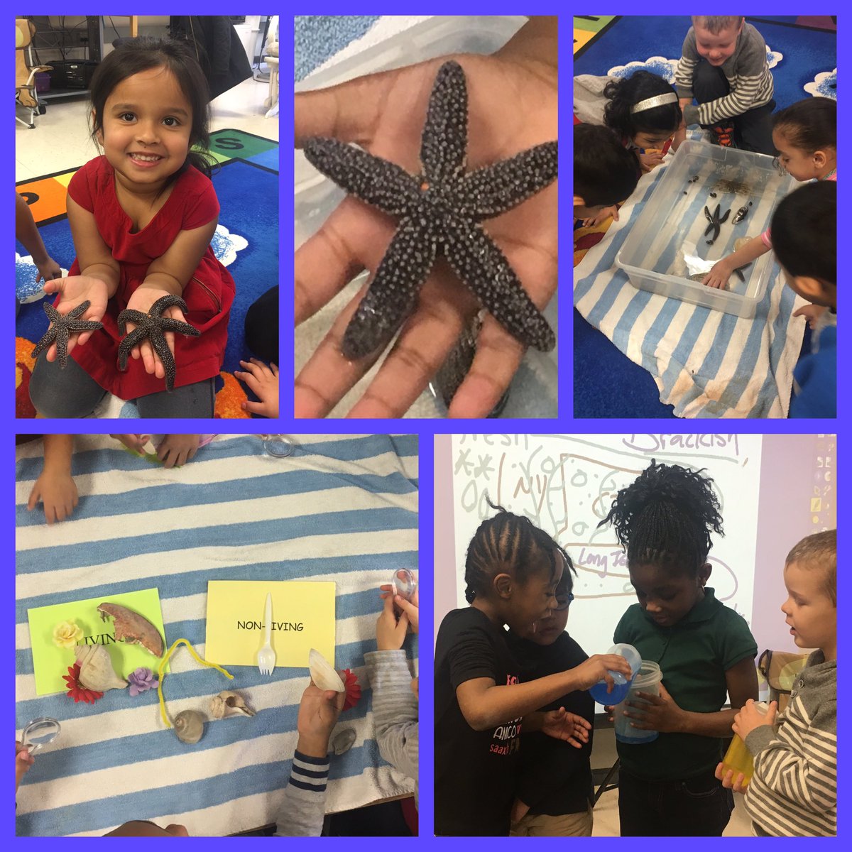 MelisaViggiano's tweet photo. Fun In-School Field Trip! Learning all about Long Island Sound. Thank you @SoundWaters #KTMSIP16 #ktm100 https://t.co/XvuMyz1LT2