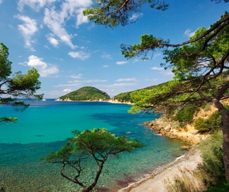 luxurytravel tweet picture