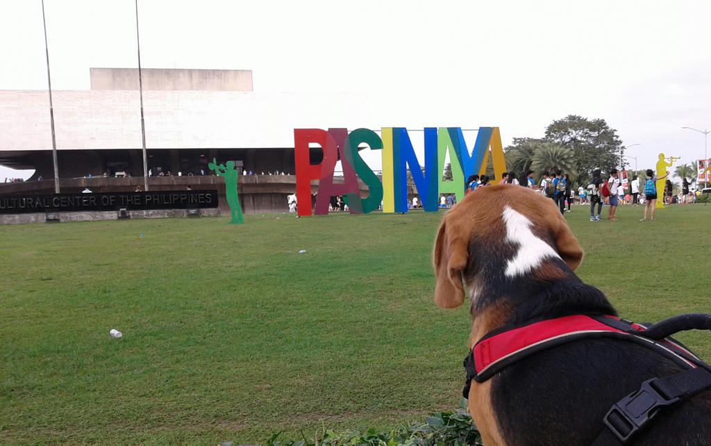 HPEducatorPH's tweet image. My furry friend looks interested. #Pasinaya2017 @CulturalCtrPh