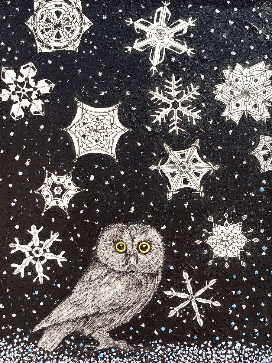 Susan Taylor's Saw-whet Owl in a Storm #snowday #bloodstar #owl #snowflakes