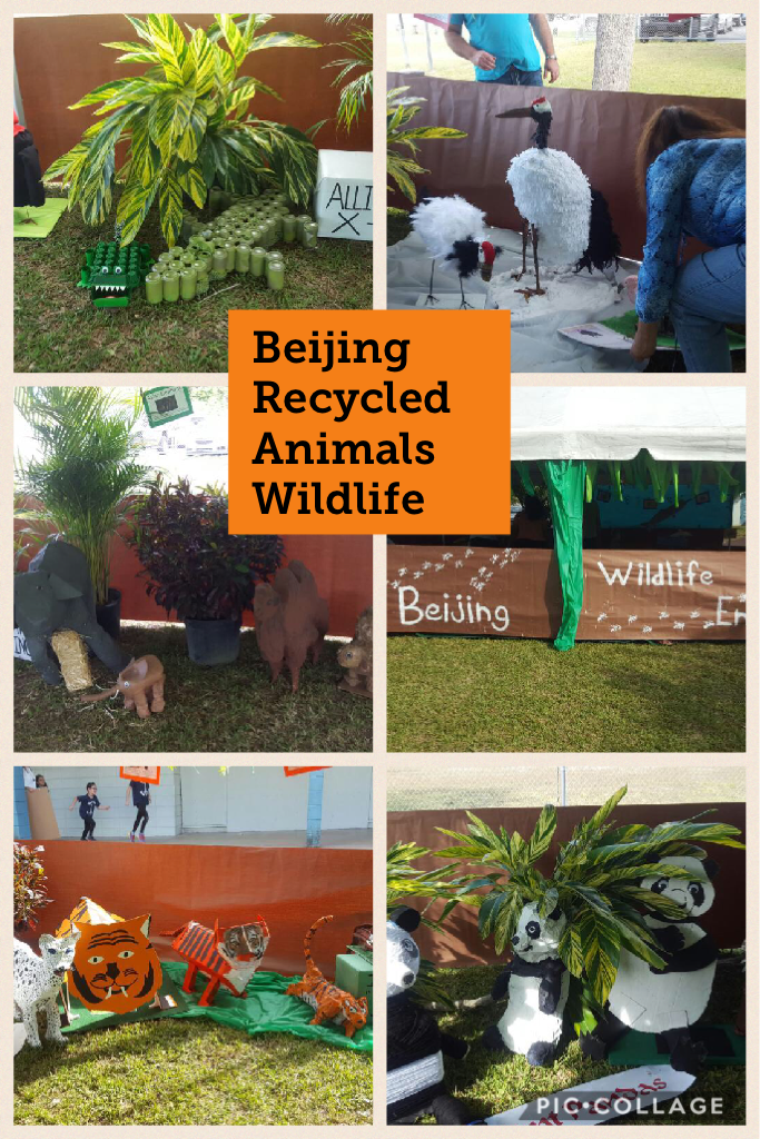 Jenniedteach's tweet photo. Beijing Recycled Animals Wildlife @airbasek8 @DIGAcademy #recycledanimals #2ndgrad https://t.co/9svnofhBeD https://t.co/rbJGbUNfHn