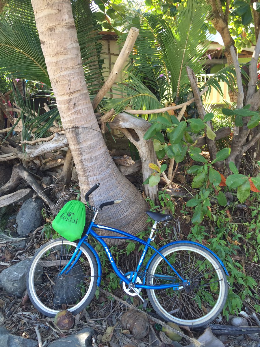 #OntdekLandal #BeachCruiser #SummerInWinter