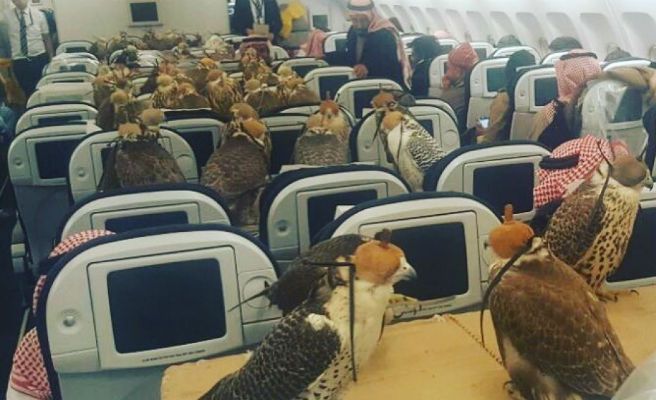 Curioso241's tweet photo. ¡Curioso! Un príncipe saudí compra 80 billetes en primera clase para todos sus halcones https://t.co/pAatgONxrR https://t.co/j0fSuILlpX