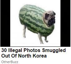 ShitpostBot 5000 tweet media