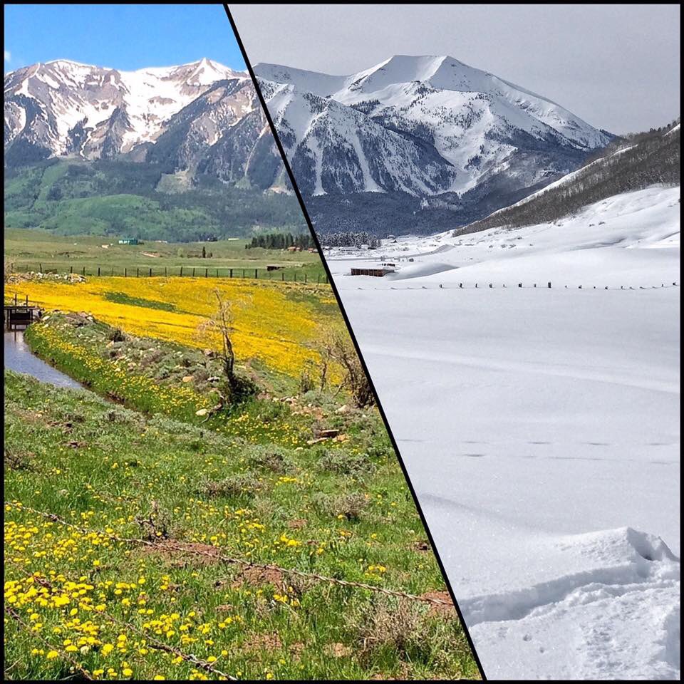 HeyFatBelly's tweet photo. Home sweet home @skicrestedbutte https://t.co/NRC4dOvm9q