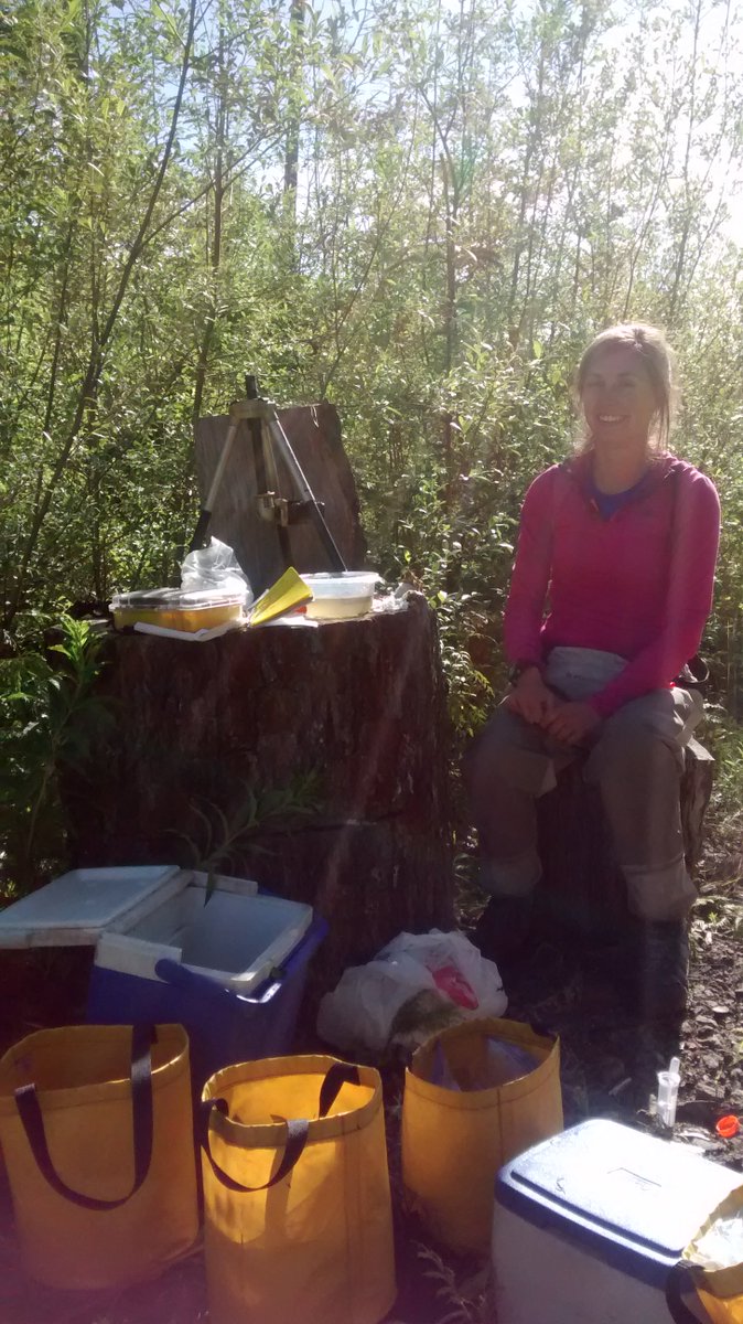 Krista Oke tweet media