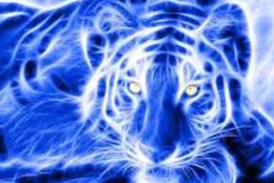 Very humbled &amp; blessed to be the HFC at Demopolis HS. Great to be back in the community! #RESTORETHEROAR  #liveup2theexpectations