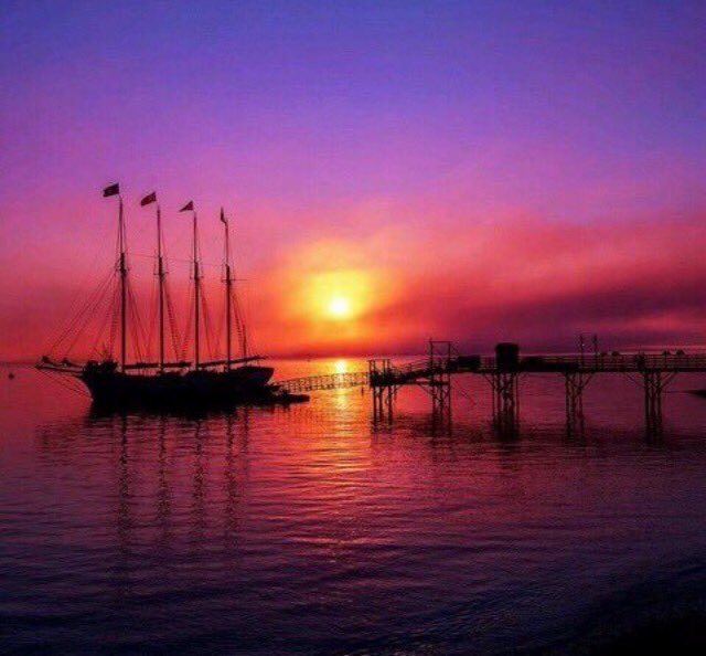 tina_baines's tweet image. Goodnight Twitter friends, may you have a wonderful day, evening or night wherever you may be! 💕#PeaceLoveHappiness 

~T~