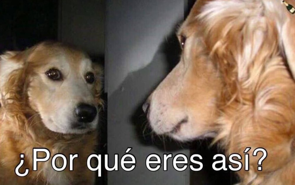 The Andersen tweet media