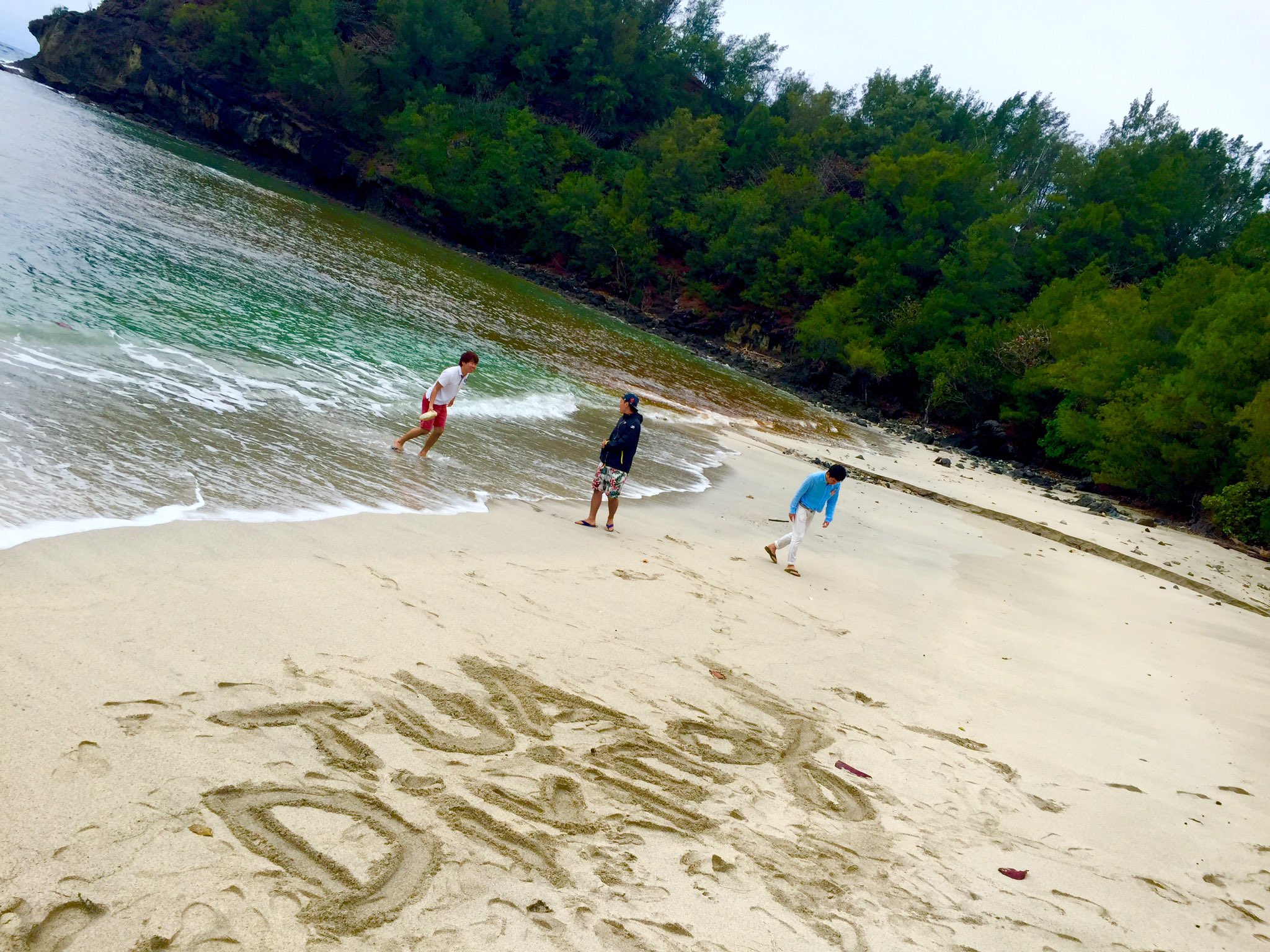 東京農業大学ダイビングクラブ こんにちはー 先日後期定期試験終わっていよいよ春休み 今年の春合宿は沖縄 石垣島と西表島に行ってきます あと人によってはいろんな島に うちは少人数精鋭 笑 ではありますが アットホームな雰囲気満点で楽しん