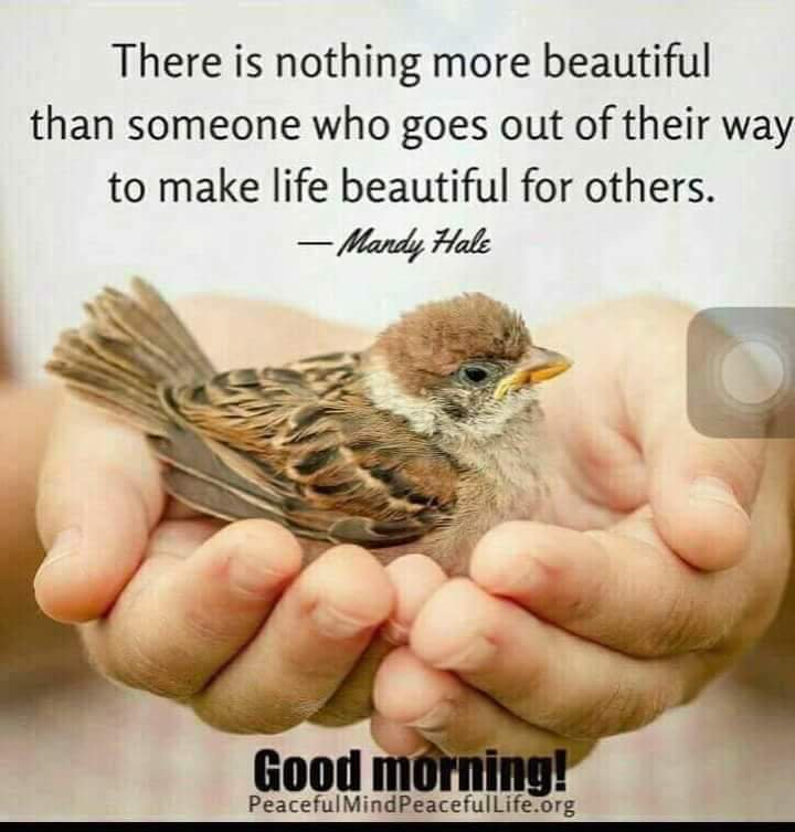 GuruRavidas's tweet photo. https://t.co/YyzO2mAdvz