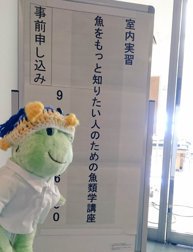 鈴江 On Twitter 白衣 はないので 代わりににゃーさん Nya Tonakukaeru が作ってくれた白シャツで代用