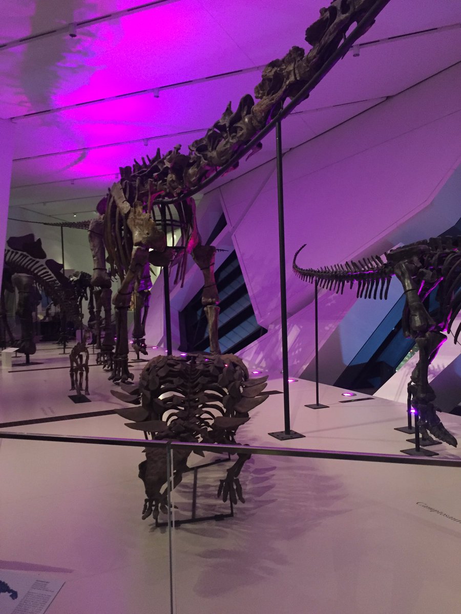 k_lukich's tweet photo. Spotted: neon dinosaurs enjoying Afro Fete at #FNLROM https://t.co/Kl3NBF0RLa