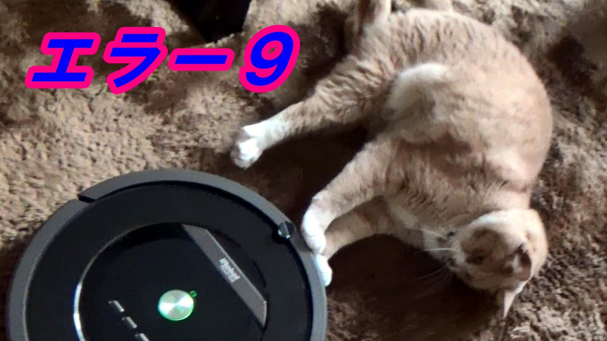 ট ইট র こむぎ だいず Youtube ルンバがその場でクルクル回る エラー9 分解修理で治りました 猫だいずのウンチ粗相ですが 光明が見えてきました Https T Co 4y8zq6xzen 猫好きさんと繋がりたい ねこ部 Youtube 猫動画 猫 Https T Co