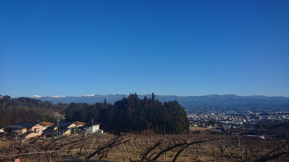 marudai25's tweet photo. 穏やかな天気で剪定日和 https://t.co/xto5rzlYIU