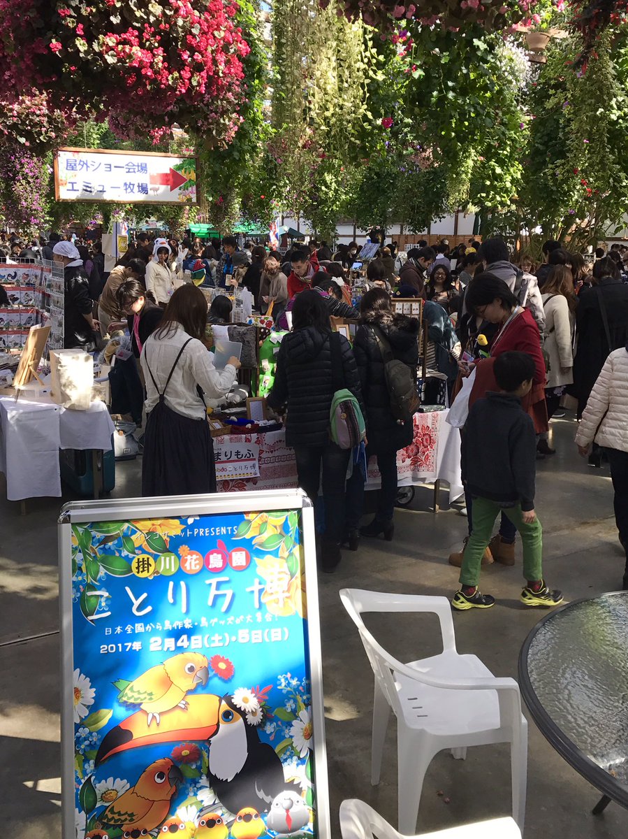 17年2月4日5日 掛川花鳥園 ことり万博 11ページ目 Togetter 17年2月4日5日 掛川花鳥園 ことり万博 11ページ目 Togetter